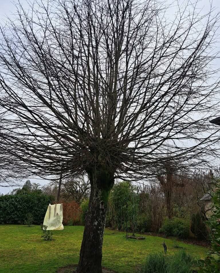 Abords et jardin dans le secteur de Marcillac-la-Croisille